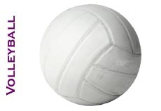 Volleyball Image